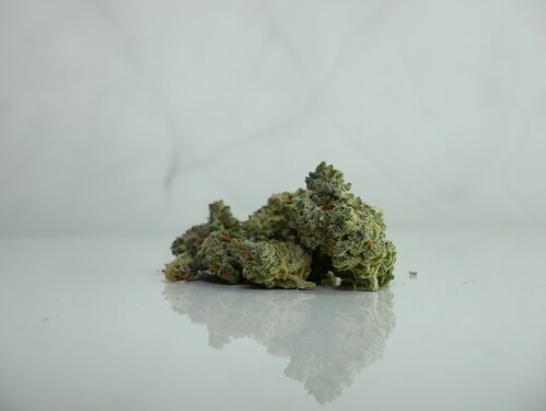 Exploring Cannabis for the First Time: What You Need to Know