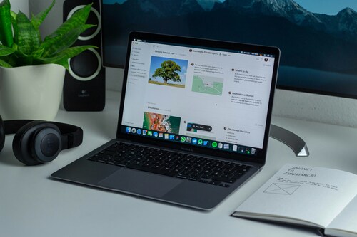 How Tracking Website Users Helps Businesses Improve Digital Strategy